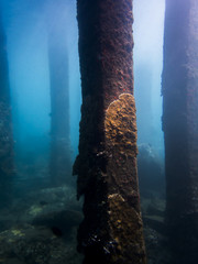 Coral Crusted Pillars Underwater in Blue Ocean