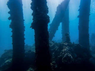 Pillars from Collapsed Pier Crusted with Coral Underwater in Blue Ocean