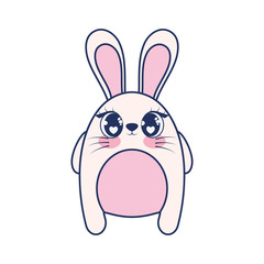 cute rabbit adorable character