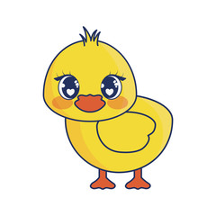 cute chick adorable character