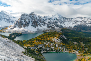 Beautiful yellow larches near Sunburst Peak in Assiniboine Provincial Park 