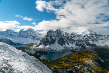 Larches are yellow in the fall after early snow in the Canadian Rockies