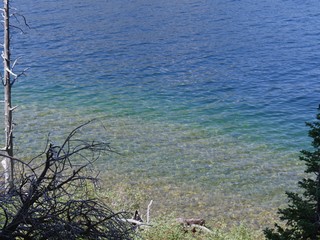 Close up of lake water with different hues of green and blue at Jenny Lake, Wyoming.