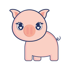 cute pig adorable character