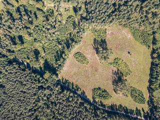 Forest seen from above.  Beautiful drone landscape.