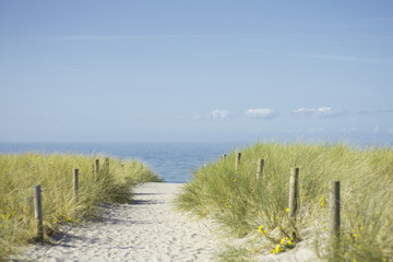 Düne an der Ostsee