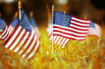 Group of American flags in yellow and orange Autumn grass
