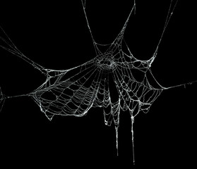 Fototapeta premium Real frost covered spider web isolated on black