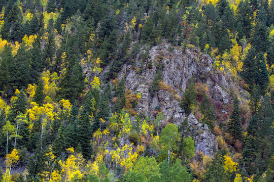 In autumn, Taos Ski Valley in the Carson National Forest of northern New Mexico fills with yellow aspens and other colorful foliage