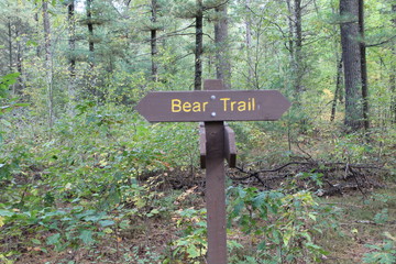 bear trail sign