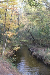 small creek