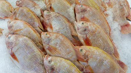 Fresh fish raw on ice sold in supermarkets. Seafood in the shop window. Buy for cooking. food concept. Close up, copy space.