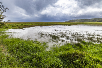 Fototapeta premium Amazing spring landscape with a a flooded lagoon inside a green farmland grass on an overcast day with the rain menace on the air at Cobquecura countryside, Chile