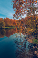 September landscape near the forest lake in the autumn day