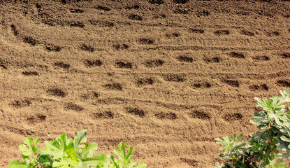 Plowed field with  traces in view