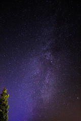 Milkyway with a Tree in front of