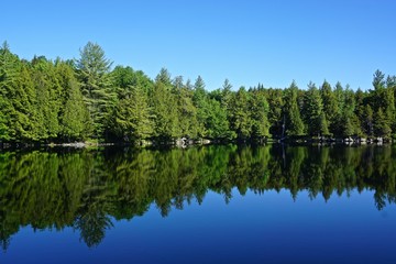 Adirondack Park, New York, USA: Pine trees reflected in the still waters of Sagamore Lake on a bright summer day.