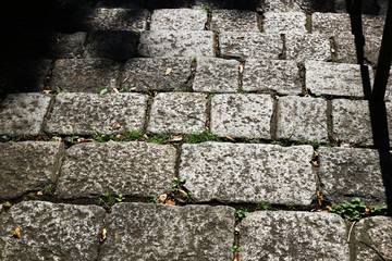 Stone steps shining in the afternoon sunlight
