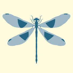  dragonfly   vector illustration   flat style front
