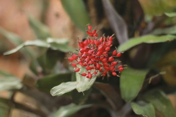 Nature In Peace