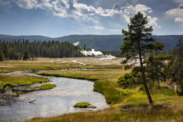 Fototapeta na wymiar Firehole River in Yellowstone National Park's North Geyser Basin