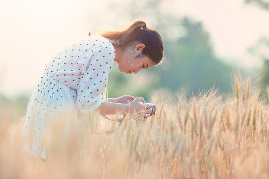 Beautiful asian woman taking photo and relaxing at barley field in summer on sunset time