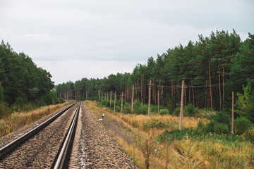 Fototapeta na wymiar Railway traveling in perspective across forest. Journey on rail track. Poles with wires along rails. Atmospheric landscape with railroad along bushes and trees with copy space.