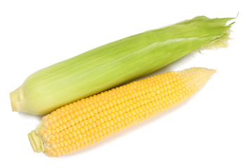 Corn on the cob isolated on white