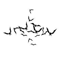 Halloween background with black bats on white. Halloween party card background template. black flying bats.