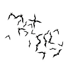 Halloween background with black bats on white. Halloween party card background template. black flying bats.