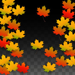 September Vector Background with Golden Falling Leaves. Autumn Illustration with Maple Red, Orange, Yellow Foliage. Isolated Leaf on Transparent Background. Bright Swirl. Suitable for Posters.