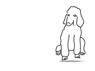 doodle freehand vector illustration of poodle dog