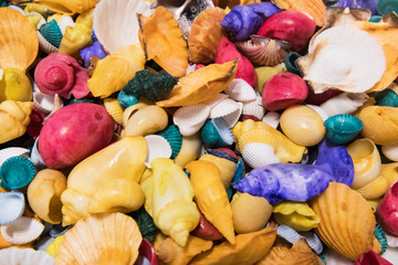 shells and colors