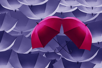 Red umbrella fly out the mass of blue  umbrella,The freedom that we can choose 