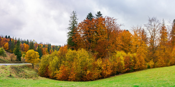 panorama of autumn countryside on a rainy day with overcast sky. beautiful colorful scenery