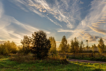 morning rural landscape