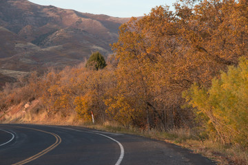 road in autumn