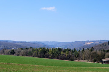 Fototapeta na wymiar landscape in swabian alb with mixed forest