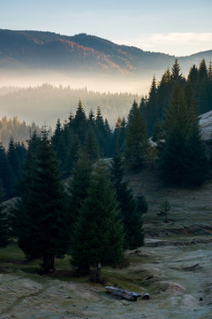 mysterious scenery in mountains. wonderful autumn weather with fog in distant valley