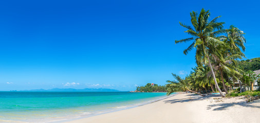Obraz premium Tropical beach on Samui