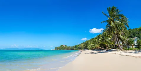 Badezimmer Foto Rückwand Tropischer Strand auf Samui © Sergii Figurnyi
