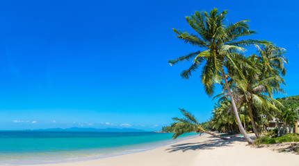 Plakat Tropical beach on Samui