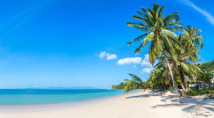 Fototapeta na wymiar Tropical beach on Samui