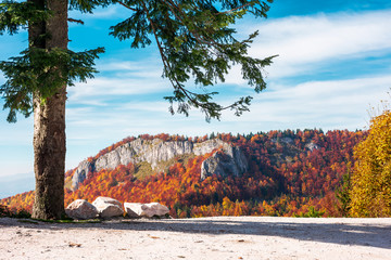 parking lot in Romania mountains. beautiful view of cliff above the forest in fall color in the...