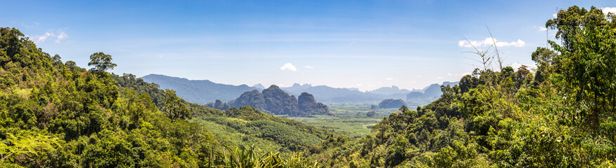 Tropical rainforest in Thailand