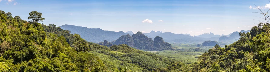 Zelfklevend Fotobehang Tropical rainforest in Thailand © Sergii Figurnyi