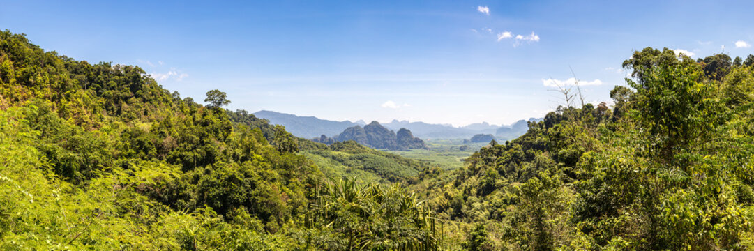 Tropical rainforest in Thailand
