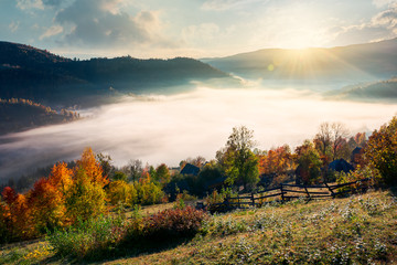 Fototapeta na wymiar beautiful sunrise in mountain. orchard near the village on hill side. trees in fall foliage. thick fog rise above the valley