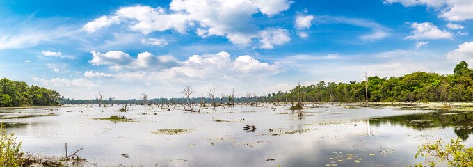Swamp in Angkor Wat