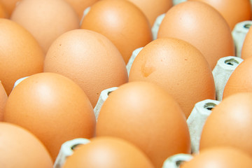 Raw chicken eggs in carton.
